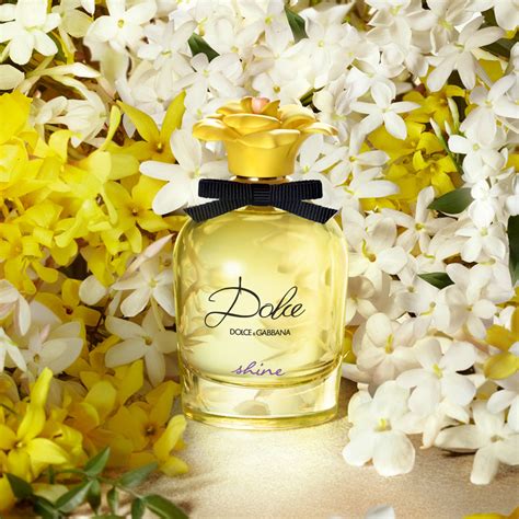 perfume dolce gabbana shine|dolce shine fragrantica.